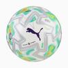 Puma Pro PL Thrill (FIFA Pro) Futbol Topu