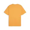 Puma DESERT ROAD Tee Turuncu Erkek T-Shirt