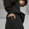 Puma PUMA X STAPLE Sweatpants Siyah Erkek Eşofman Altı