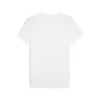 Puma EVOSTRIPE Tee Beyaz Erkek T-Shirt