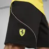 Puma Ferrari Race Shorts Siyah Erkek Polo T-Shirt