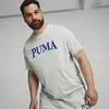 Puma PUMA SQUAD Graphic Tee Gri Erkek T-Shirt