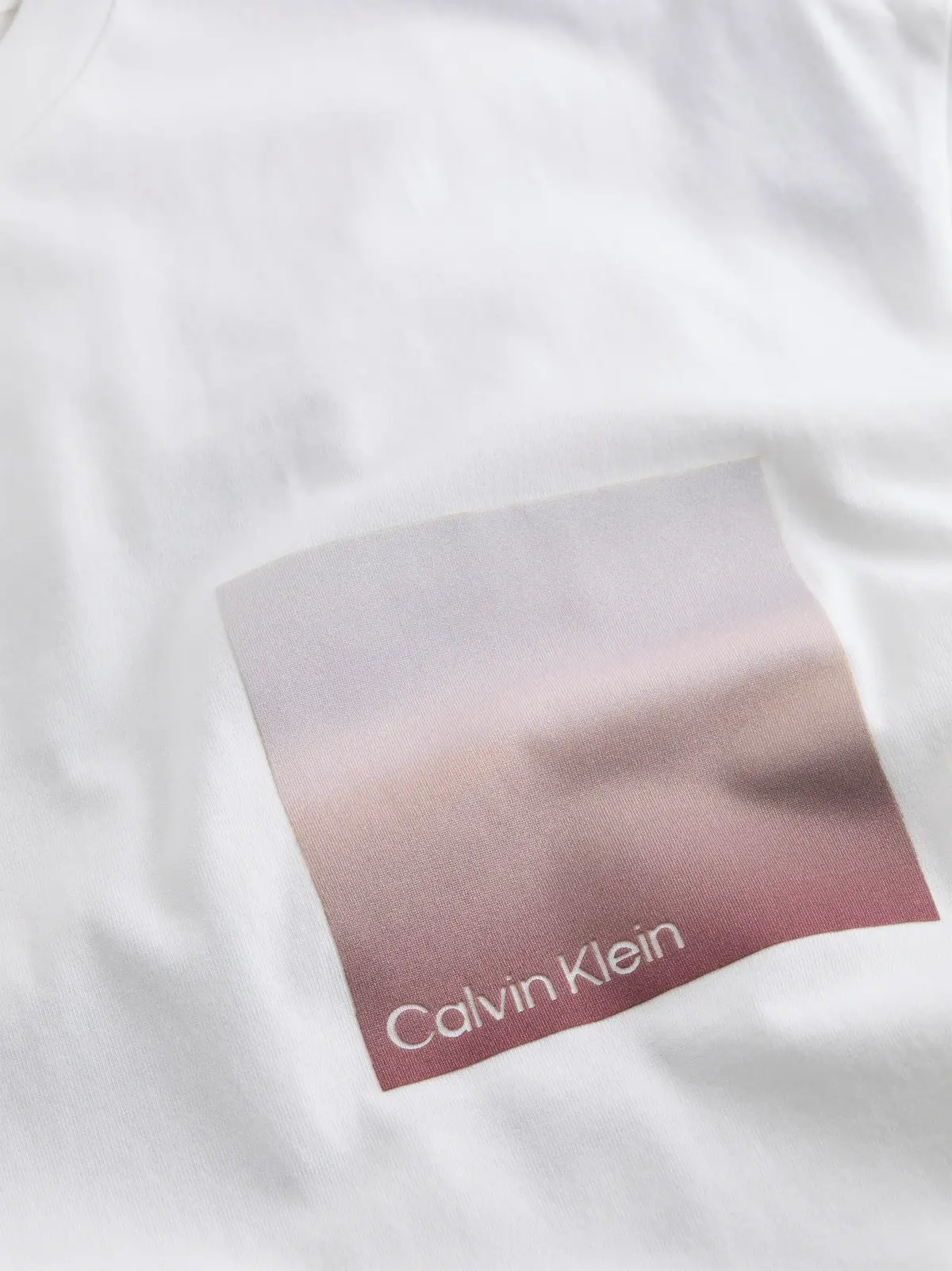 Calvin Klein OMBRE BONDED BOX LOG, YAF Beyaz Erkek T-Shirt & Polo