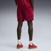 Puma GSK EVOSTRIPE Shorts GALATASARAY EVOSTRIPE Erkek Şort