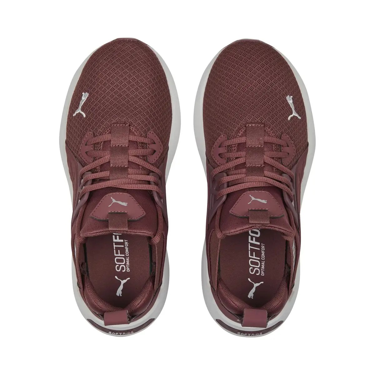Puma Softride Enzo NXT Kadın Lila Yürüyüş Ayakkabısı