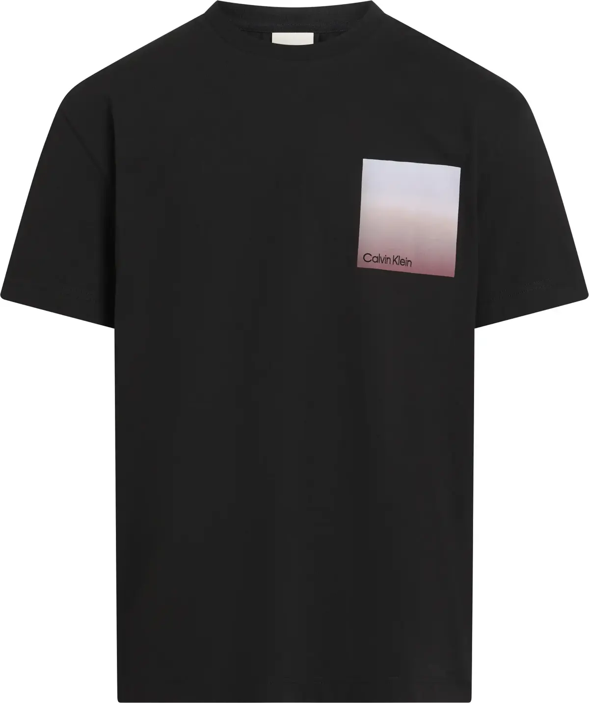 Calvin Klein OMBRE BONDED BOX LOG, BEH Siyah Erkek T-Shirt & Polo