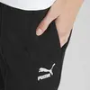 Puma Classics Sweatpants Tr Siyah Kadın Eşofman Altı