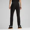 Puma EVOSTRIPE Pants Siyah Erkek Eşofman Altı