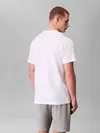 Calvin Klein S/S CREW NECK Beyaz Erkek Tişört