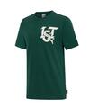 Puma Istanbul Graphic Tee Yeşil Erkek T-Shirt
