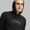 Puma CLASSICS PLAY.PARIS. Hoodie Siyah Erkek Hoodie