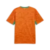 Puma FIF Home Jersey Replica Turuncu Erkek Forma