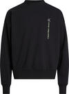Calvin Klein VERTICAL INSTITUTION Erkek Siyah Sweatshirt