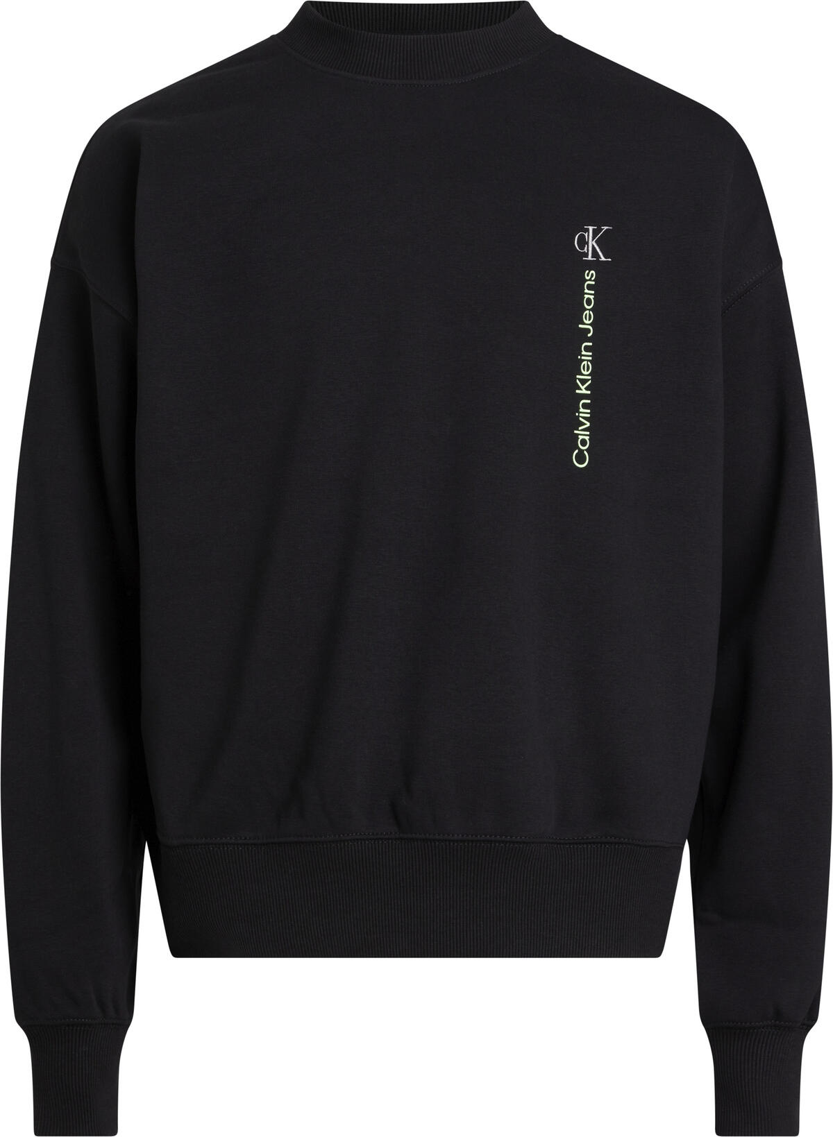 Calvin Klein VERTICAL INSTITUTION Erkek Siyah Sweatshirt