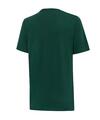 Puma Istanbul Graphic Tee Yeşil Erkek T-Shirt