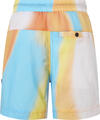 Calvin Klein AOP NYLON MESH SHORT Erkek Renkli Şort