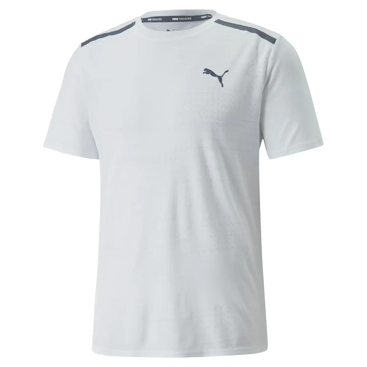 Puma Traın Jacquard Ss Tee Beyaz Erkek Koşu Ve Performans T-Shirt