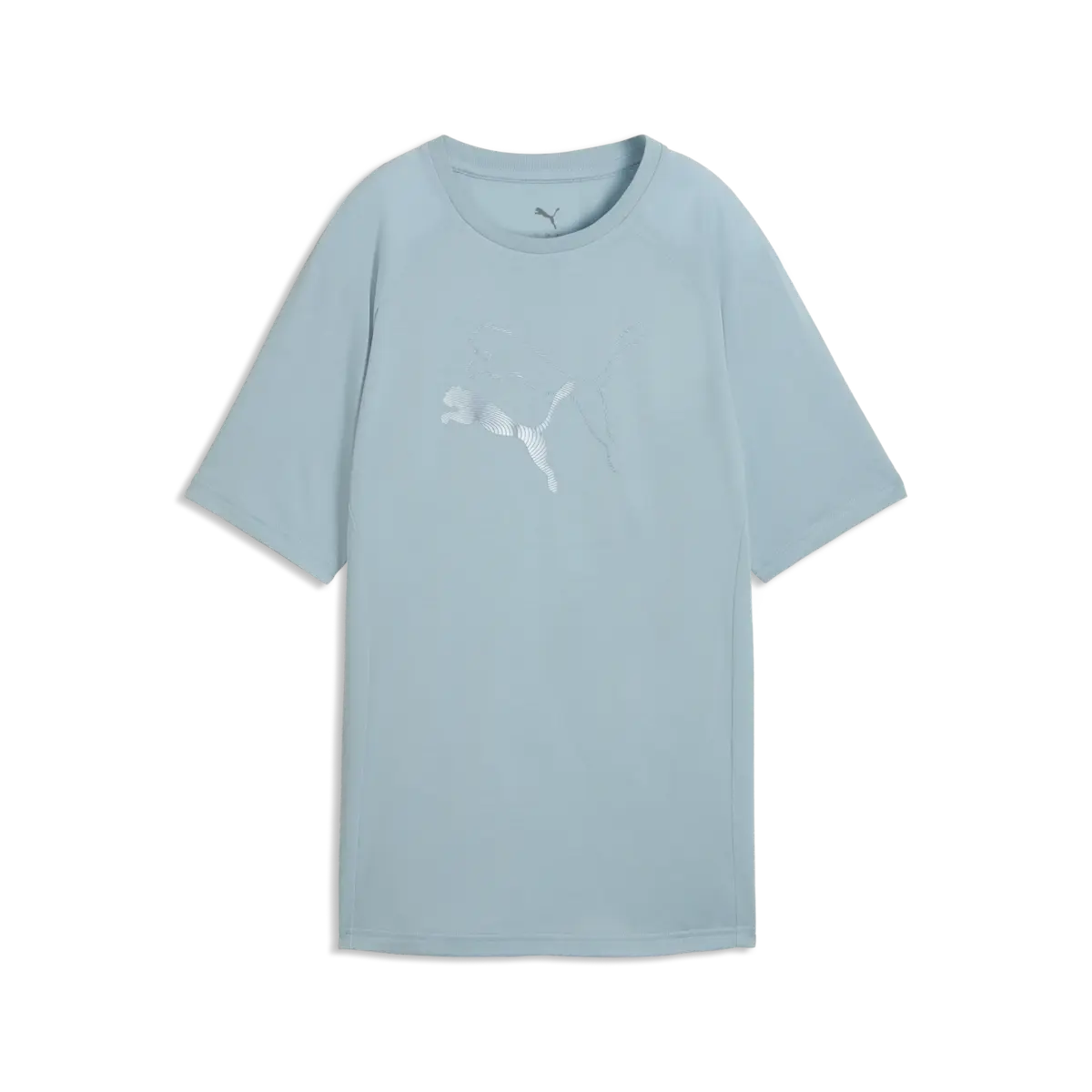 Puma EVOSTRIPE Graphic Tee Turkuaz Kadın T-Shirt