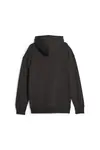 Puma X RIPNDIP Hoodie TR Siyah Erkek Hoodie