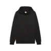 Puma PUMATECH FZ Hoodie Siyah Erkek Sweatshirt