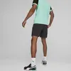 Puma SWxP Siyah Erkek Şort