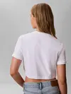 SS MONOLOGO CROPPED, YAF