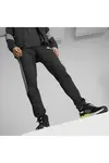 Puma Evostripe Pants Siyah Erkek Eşofman Altı