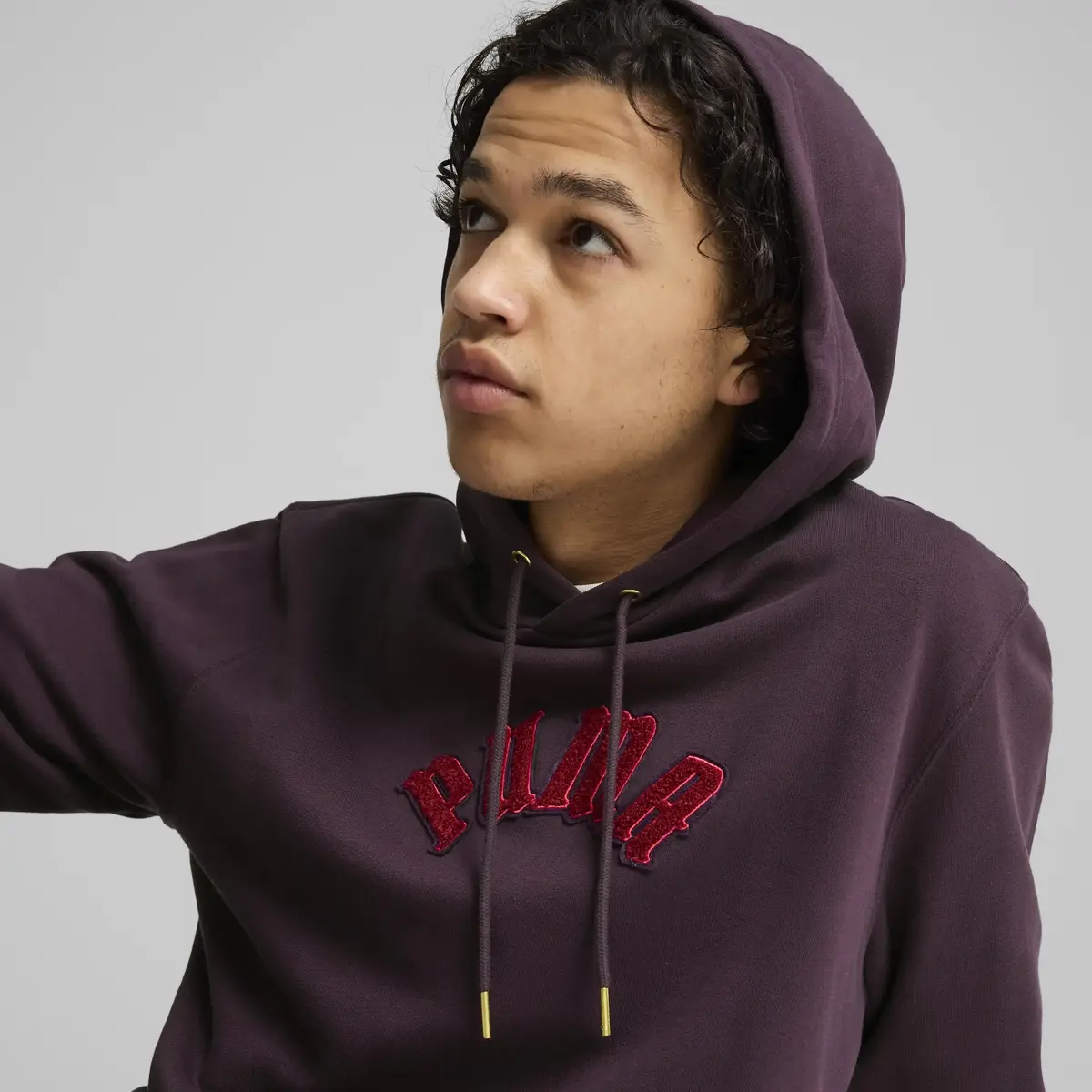 Puma CLASSICS PLAY.PARIS. Hoodie Mor Erkek Hoodie