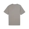 Puma DESERT ROAD Tee Gri Erkek T-Shirt