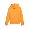 Puma GSK FtblESS FZ HoodJacket FL GALATASARAY FtblESSENTIALS Erkek Kapüşonlu Ceket
