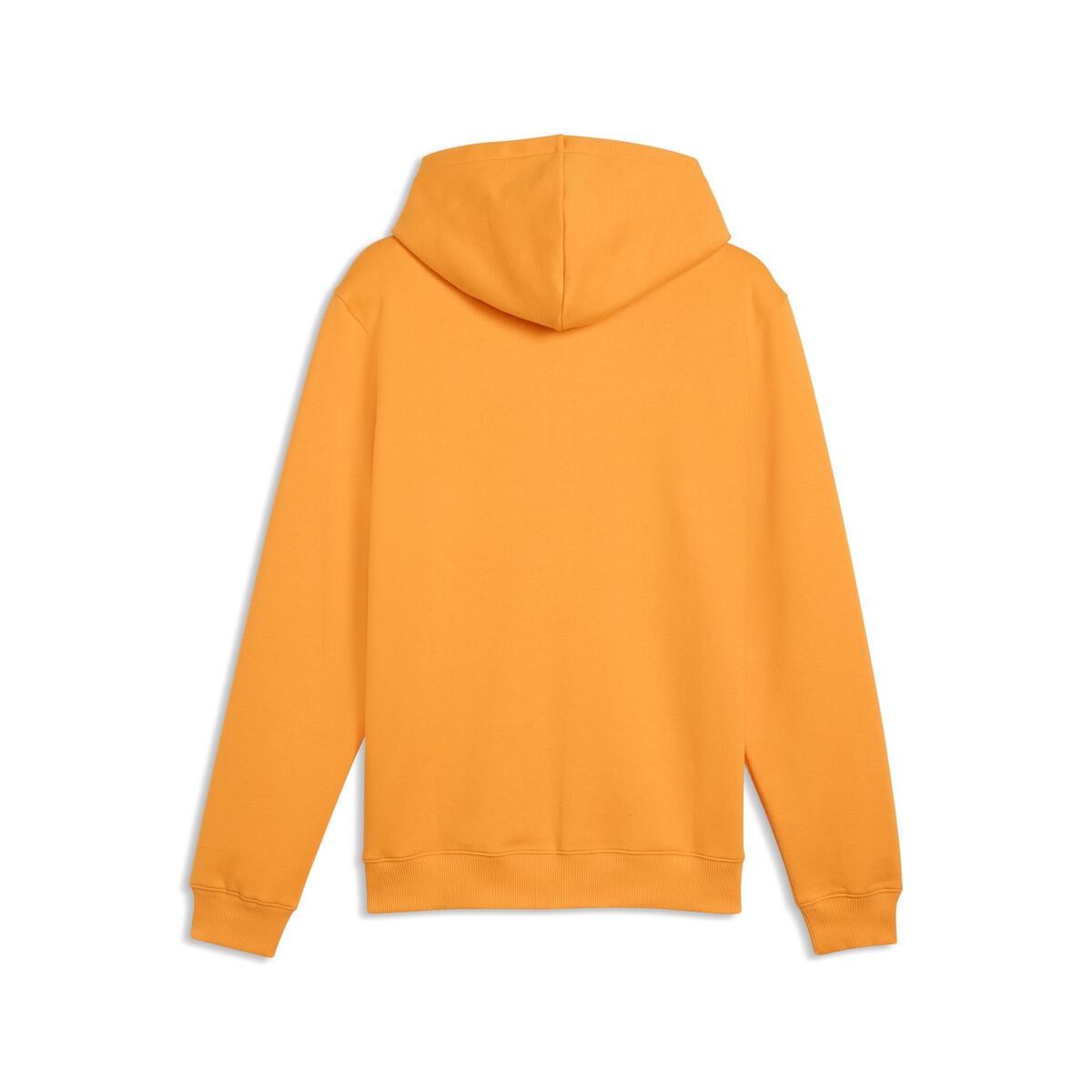 Puma GSK FtblESS FZ HoodJacket FL GALATASARAY FtblESSENTIALS Erkek Kapüşonlu Ceket