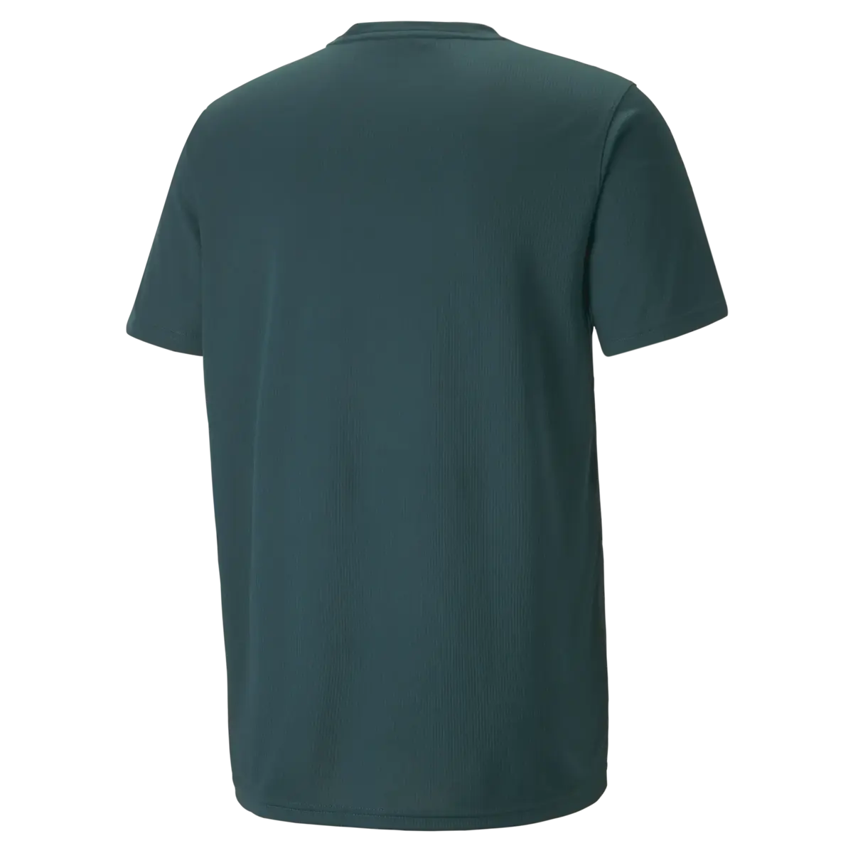 Puma PERFORMANCE TEE Erkek T-Shirt & Polo