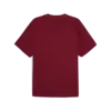 Puma CLASSICS Relaxed Graphic Tee Bordo Erkek T-Shirt