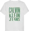 Calvin Klein SLOGAN GRAPHIC T-SHI, YAF Beyaz Erkek T-Shirt & Polo