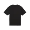 Puma Pivot Unisex Tee 2.0 Siyah Erkek Tişört