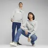 Puma NO.1 LOGO Hoodie Gri Unisex Hoodie