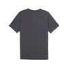 Puma GRAPHICS SEASONS UNISEX TEE Erkek T-Shirt & Polo