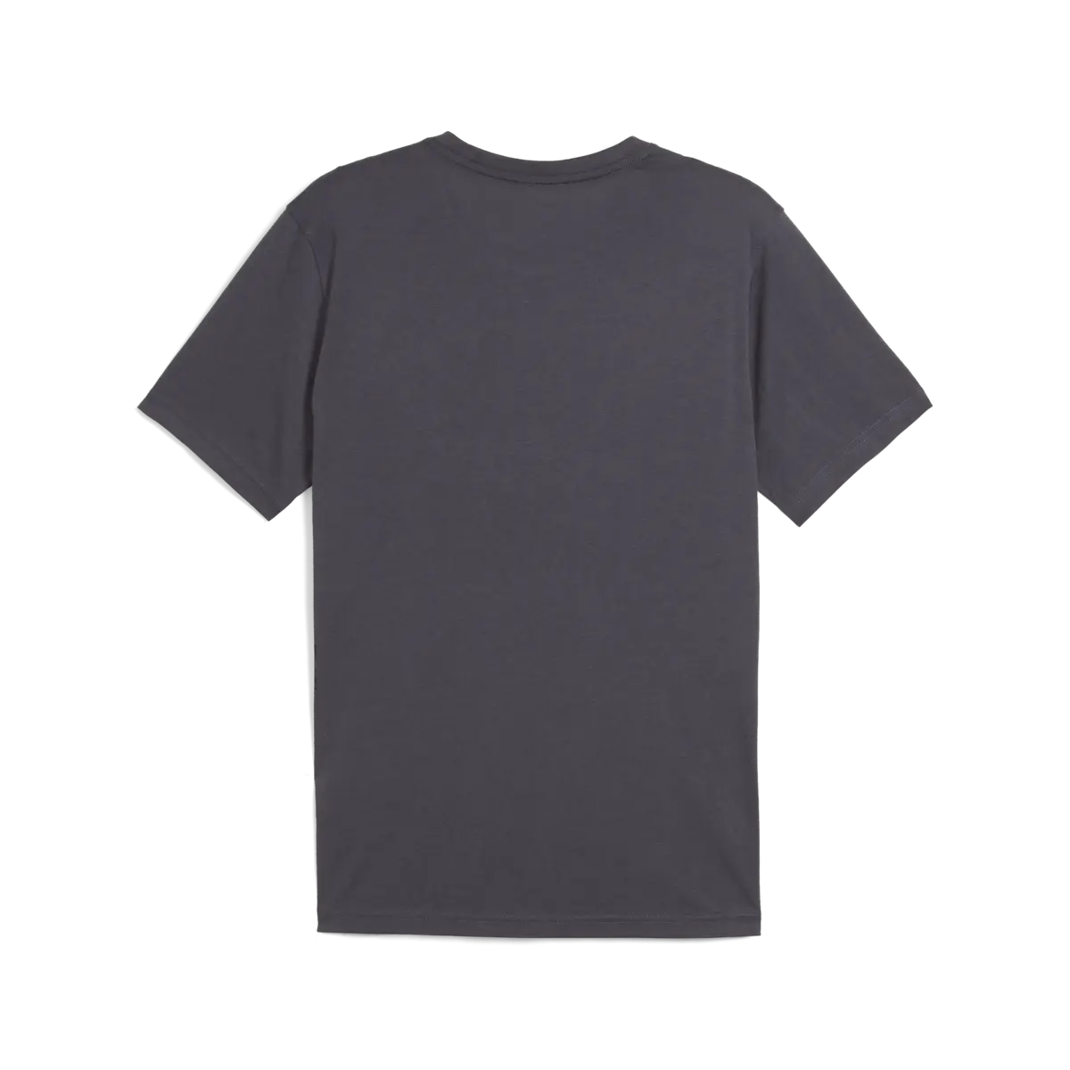 Puma GRAPHICS SEASONS UNISEX TEE Erkek T-Shirt & Polo