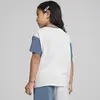 Puma CLASSICS FC Tee Mavi Unisex T-Shirt & Polo