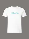 Calvin Klein SS 20s CLASSIC LOGO TEE Beyaz Kadın Tişört Calvin Klein SS 20s CLASSIC LOGO TEE Beyaz Kadın Tişört