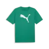 Puma teamRISE Logo Jersey Cotton Yeşil Erkek T-Shirt