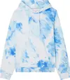 Calvin Klein SUMMER SPLASH AOP HO Erkek Mavi Hoodie