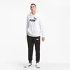 Puma ESS Big Logo Hoodie TR Beyaz Erkek Hoodie