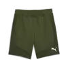 Puma EVOSTRIPE Shorts 8 DK Erkek Şort