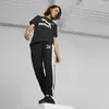 Puma Classics Logo Tee Siyah Erkek T-Shirt