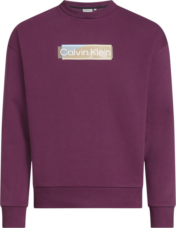 Calvin Klein LAYERED GEL LOGO SWE Erkek Pembe Sweatshirt Calvin Klein LAYERED GEL LOGO SWE Erkek Pembe Sweatshirt
