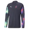 Puma Neymar Jr 24/7 Training Top Erkek Takım Forması
