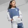 Puma CLASSICS FC Crew Mavi Erkek Sweatshirt