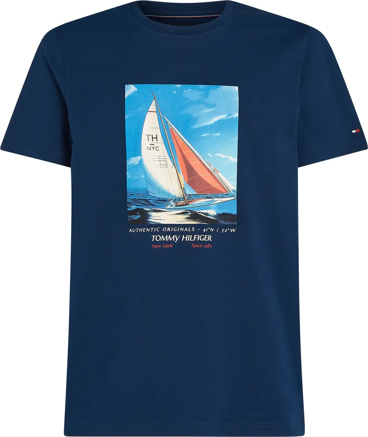 Tommy Hilfiger HILFIGER COLOR PHOTO, DAF Lacivert Erkek T-Shirt & Polo