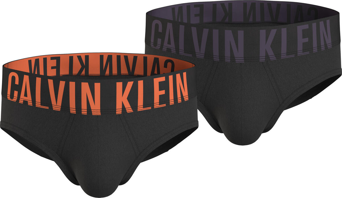 Calvin Klein HIP BRIEF 2PK Erkek Siyah Slip Set